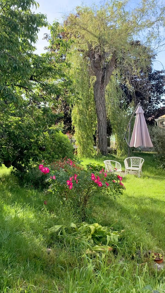 Atelier Bougies